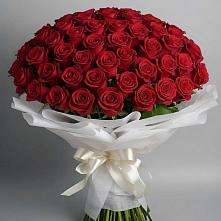 Букет 101 Красная роза Блэк Мэджик в Щекино