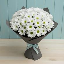 Букет цветов из:  Хризантемы в Щекино