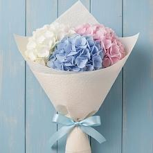 Букет цветов из:  Гортензия в Щекино