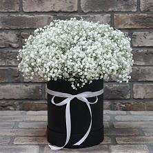 Цветочная композиция из Гипсофила в шляпной коробке в Щекино