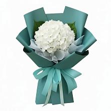 Букет цветов из:  Гортензия в Щекино